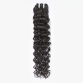 Monsoon Weft Extension