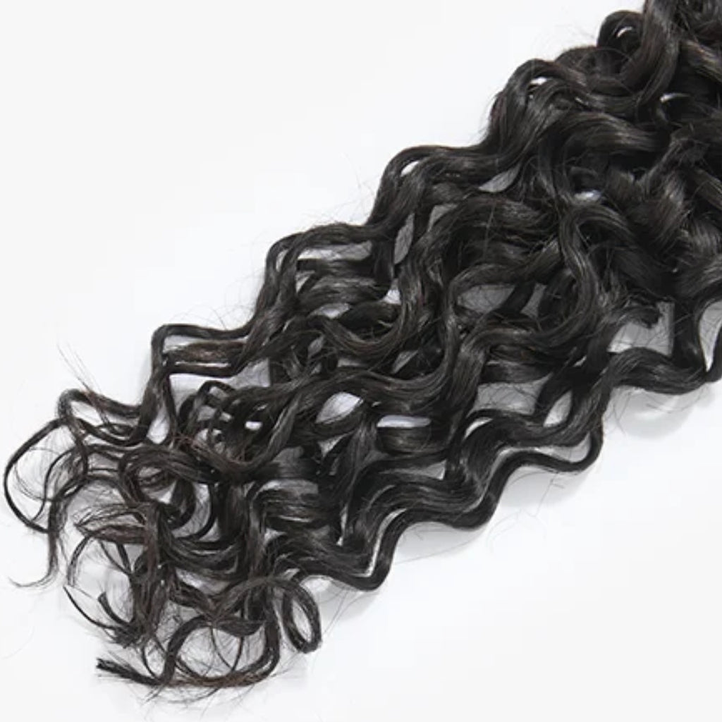 Monsoon Weft Extension